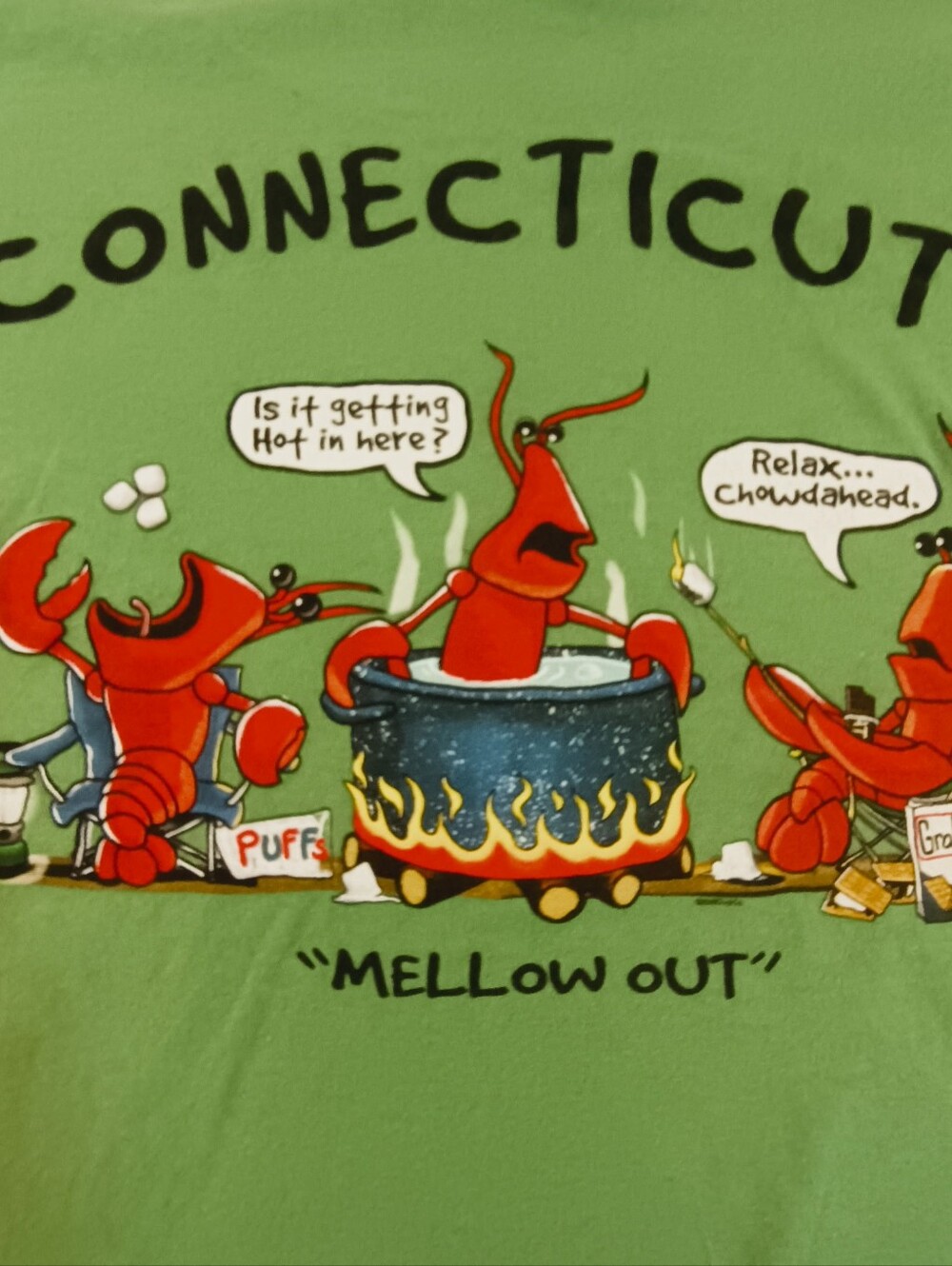 The Duck Co Connecticut Embroidered Lime Green Crewneck T-Shirt - Picture 5 of 7